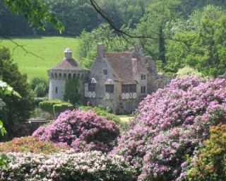Цветы Франции