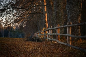 Пушкинские горы осень