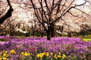 Весна в саду