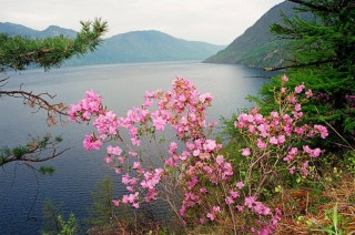 Байкал весной