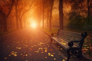 Осенняя грусть