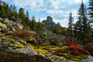 Растения Южного Урала