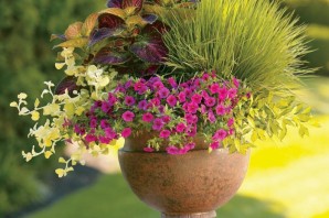 Цветы в кашпо на даче