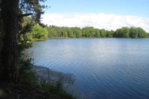 Озеро Сасово Лужский район