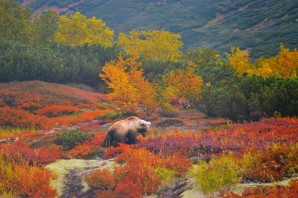 Камчатка осенью