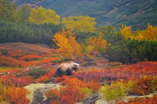 Камчатка осенью