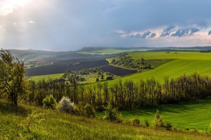 Природа родного края Татарстан