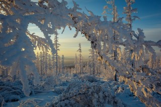 Зима в Сибири