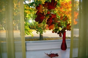 Осень за окном