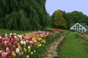 Дача весной