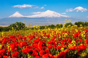 Цветы Армении