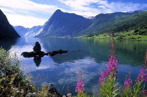 Растения Норвегии