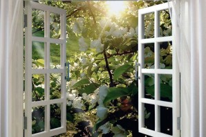 Весеннее окно