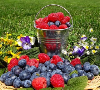 Летние ягоды