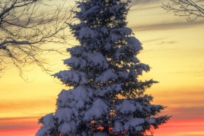 Зима вертикальные