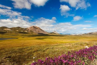 Природа Чукотки летом