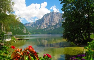 Цветы Австрии