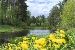 Весна в Подмосковье