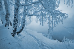 Метель зимой