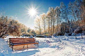 Зимний сквер