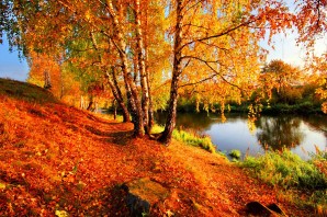 Золотая осень природа