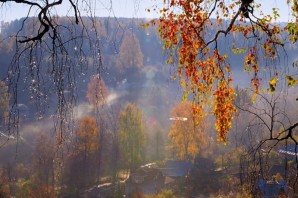 Осень дождь за окном