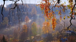 Осень дождь за окном