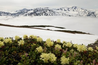 Камчатка весной