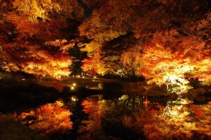 Осень ночь