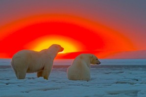 Северный полюс летом