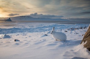 Арктика зимой