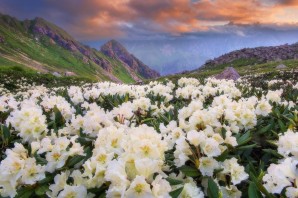 Северная Осетия весной