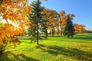 Сентябрь начало осени