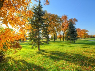 Сентябрь начало осени