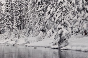 Чёрно белая зима