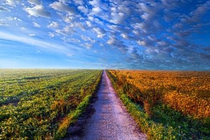 Дорога уходящая в небо