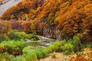 Осень в Приморье