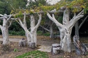 Дерево из бетона