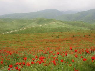 Туркмения природа