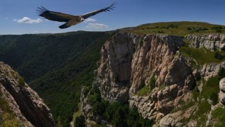 Орлиная гора в Крыму