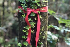 Дерево с ленточками