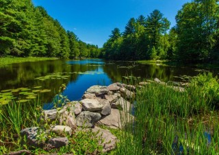 Красивая летняя природа