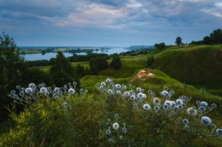Рязань лето