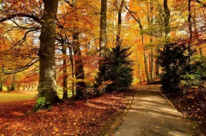 С первым днем осени