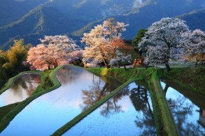 Япония весной
