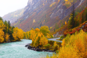 Алтай осенью