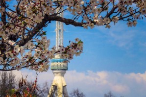 Ташкент весной