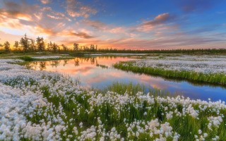 Весенние пейзажи России