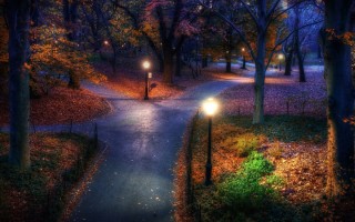 Осень парк ночь