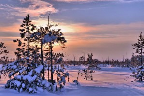 Радужный ХМАО зимой